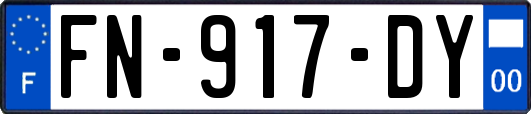FN-917-DY