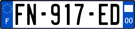 FN-917-ED