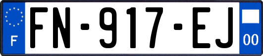 FN-917-EJ