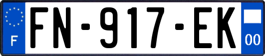 FN-917-EK