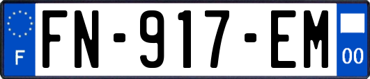 FN-917-EM