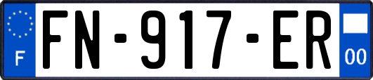 FN-917-ER