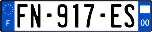 FN-917-ES