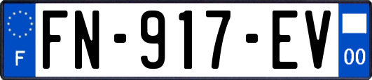 FN-917-EV