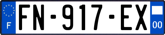 FN-917-EX