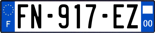 FN-917-EZ