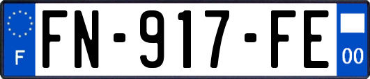 FN-917-FE