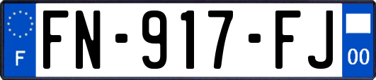 FN-917-FJ
