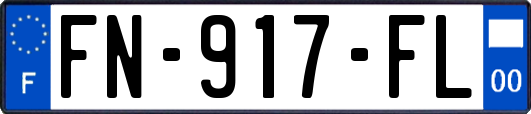 FN-917-FL