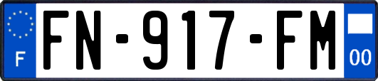FN-917-FM