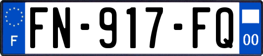 FN-917-FQ