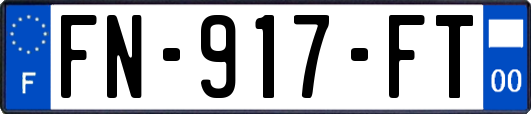 FN-917-FT