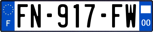 FN-917-FW
