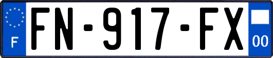 FN-917-FX