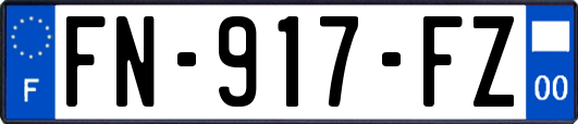 FN-917-FZ