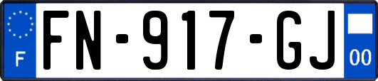 FN-917-GJ