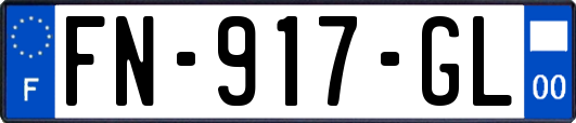 FN-917-GL