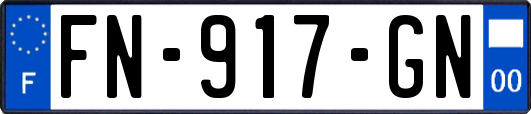 FN-917-GN