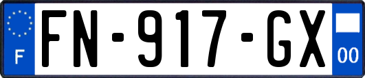 FN-917-GX