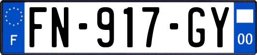 FN-917-GY