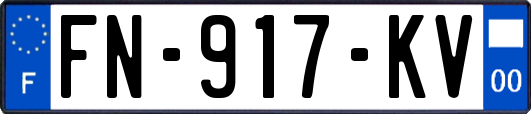 FN-917-KV