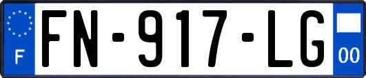 FN-917-LG