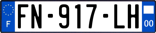 FN-917-LH