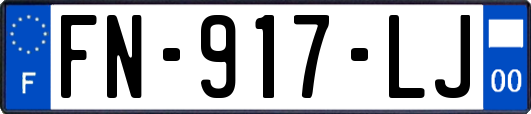 FN-917-LJ