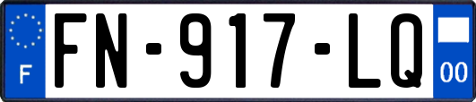 FN-917-LQ