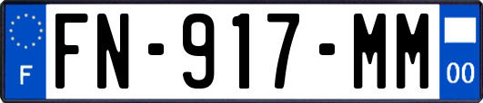 FN-917-MM