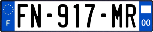 FN-917-MR