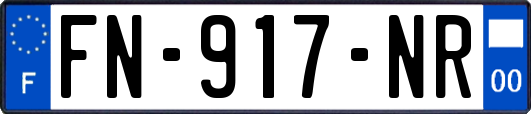 FN-917-NR