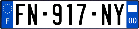 FN-917-NY