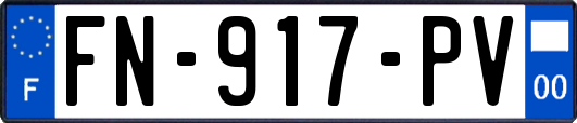 FN-917-PV