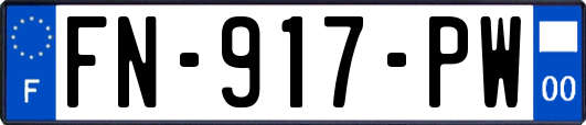 FN-917-PW