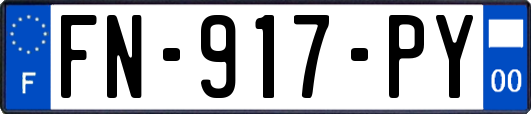FN-917-PY