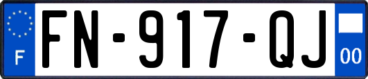 FN-917-QJ