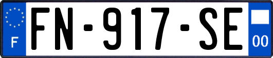FN-917-SE