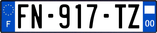 FN-917-TZ