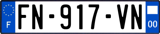 FN-917-VN