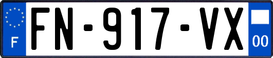FN-917-VX