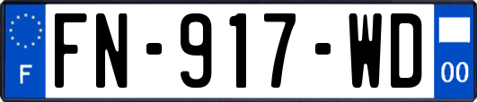 FN-917-WD