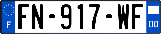 FN-917-WF