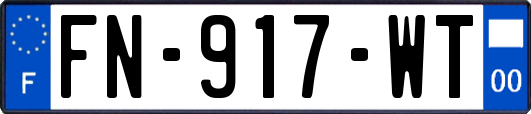 FN-917-WT