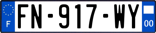 FN-917-WY