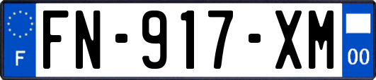 FN-917-XM