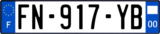 FN-917-YB