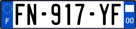 FN-917-YF