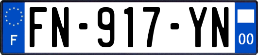 FN-917-YN