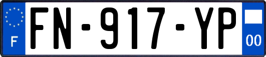 FN-917-YP
